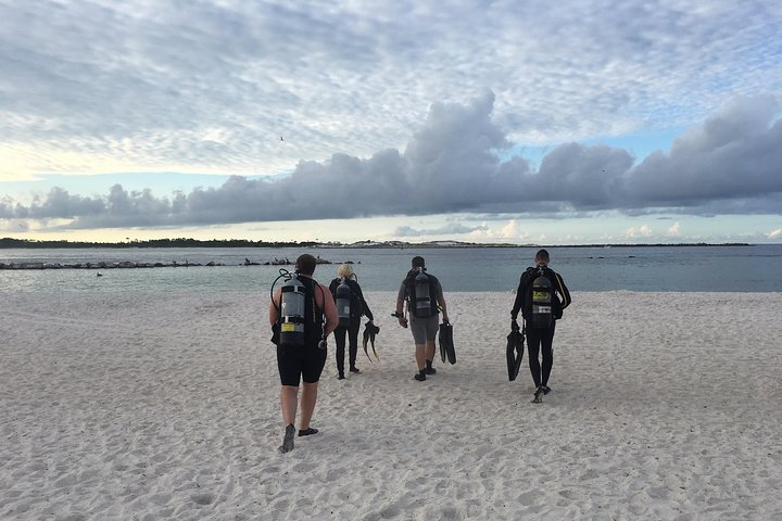Small Group Guided Shore Dives in St. Andrews State Park, Florida - Photo 1 of 8